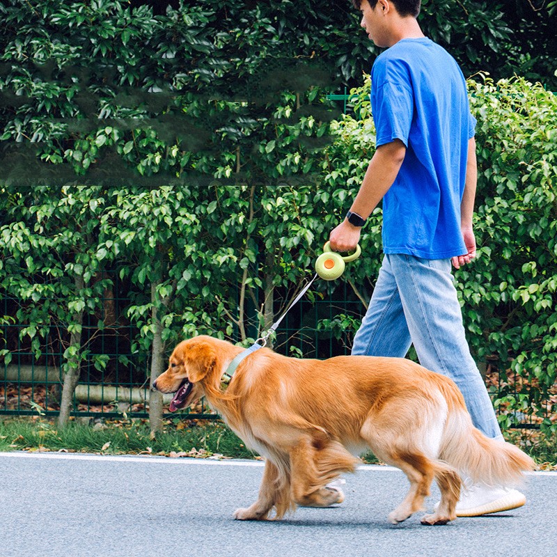 SafeWalk Retractable Leash — Reflective, Tangle-Free & Night-Safe